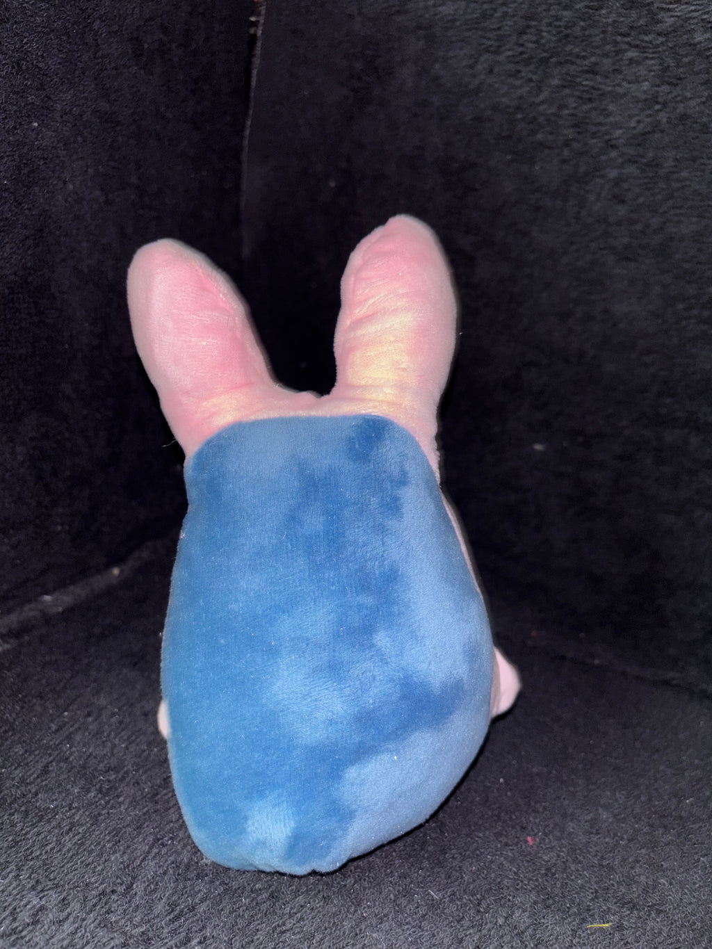 Sped the shark plushie