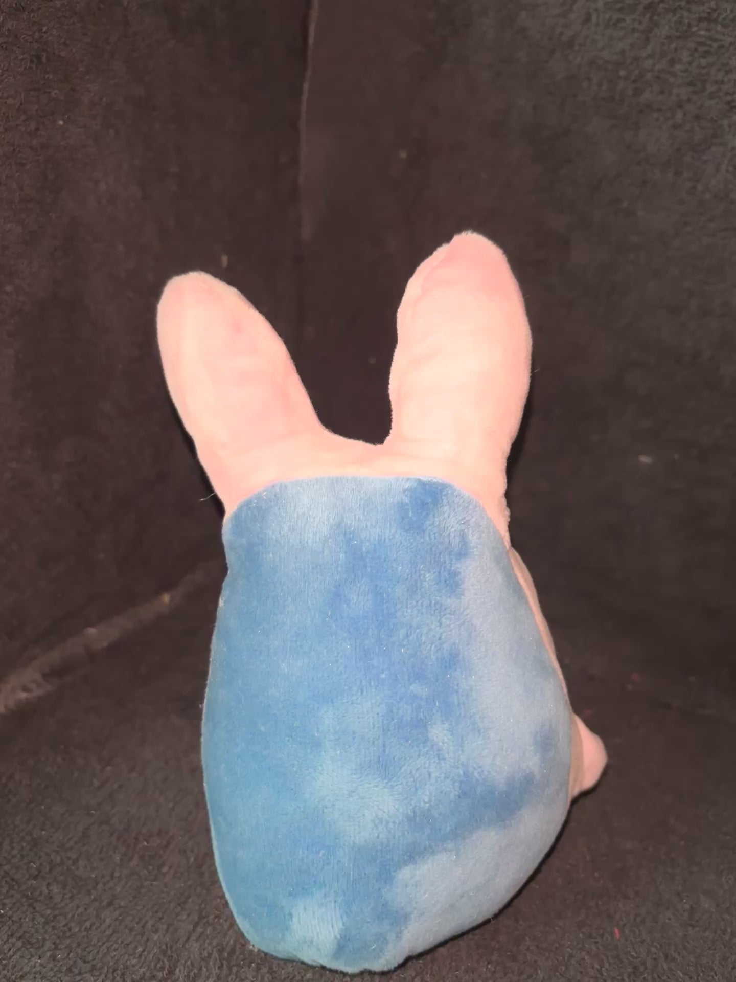 Sped the shark plushie